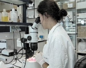 TRABAJADOR LABORATORIO 03